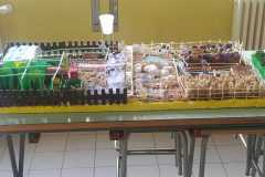il-viaggio-18_05-14